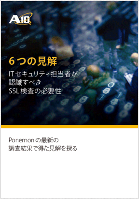 調査レポート「ITセキュリティ担当者が認識すべきSSL検査の必要性」