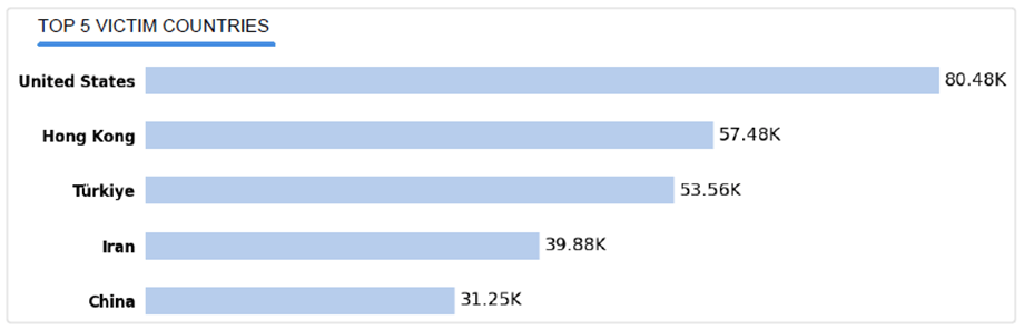TOP 5 VICTIM COUNTRIES