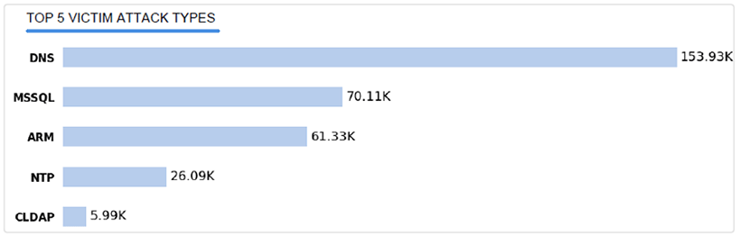 TOP 5 VICTIM ATTACK TYPES
