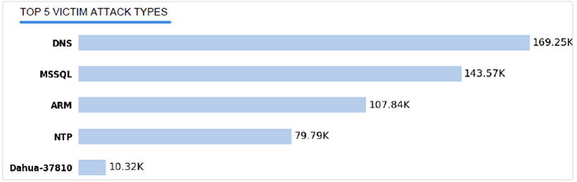 TOP 5 VICTIM ATTACK TYPES